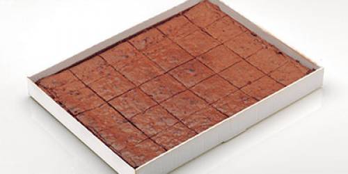 BROWNIE PLAQUE 60 PC